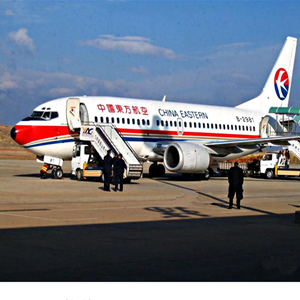 大理凤仪空运公司-当日到达,轻松快捷