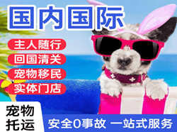 大理凤仪空运公司国际宠物托运 【国